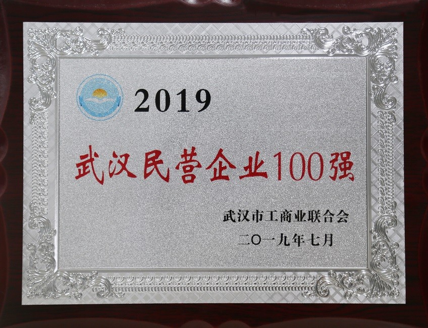 2019武漢企業百強
